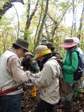 c0204725_164328.jpg