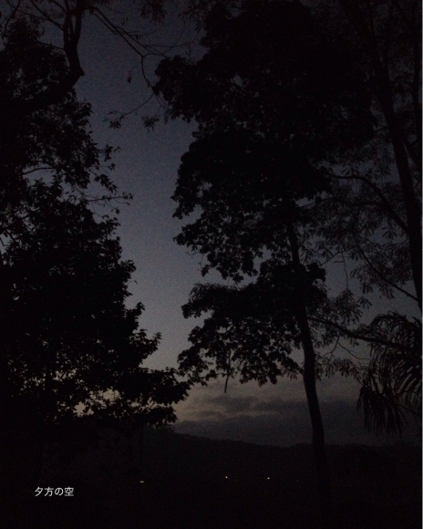 夕方の空_a0120328_17461690.jpg