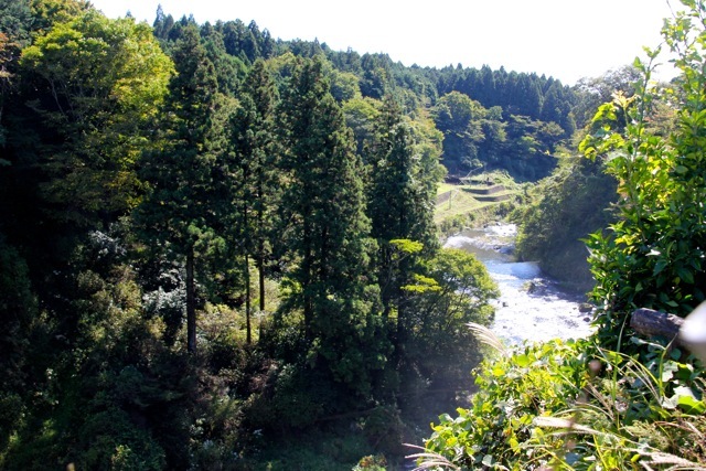 f0348831_08021625.jpg