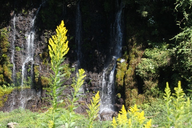 f0348831_08095185.jpg