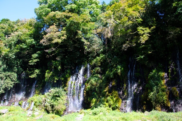 f0348831_08095523.jpg