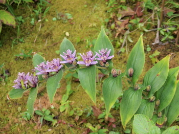 c0097838_16212411.jpg