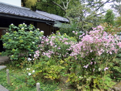 c0097838_16544240.jpg