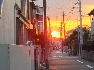 c0076939_22131882.jpg