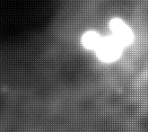 M42オリオン座大星雲　新たな画像処理法①_f0346040_01353461.jpg