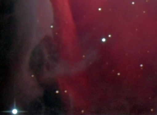 M42オリオン座大星雲 新たな画像処理法②_f0346040_02573383.jpg
