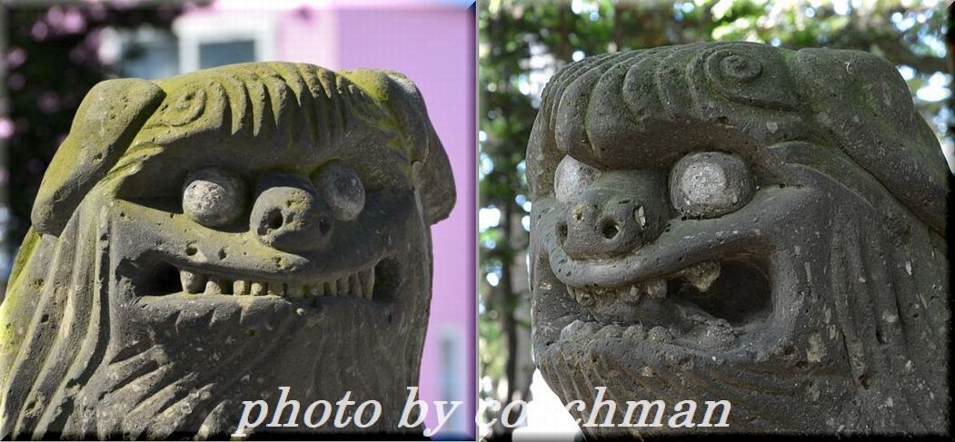 「永山神社」狛犬　(旭川市)　　　　_a0315942_23403147.jpg