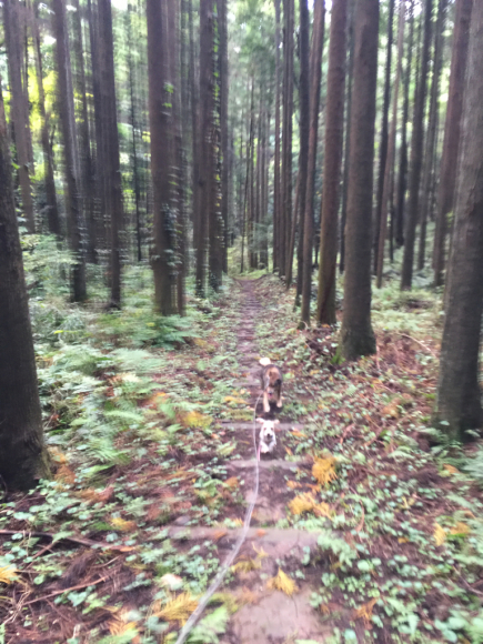 香取市でハイキング_a0126743_01353111.jpg