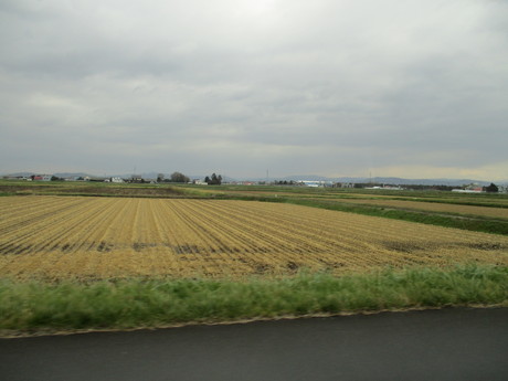 a0279743_8125237.jpg