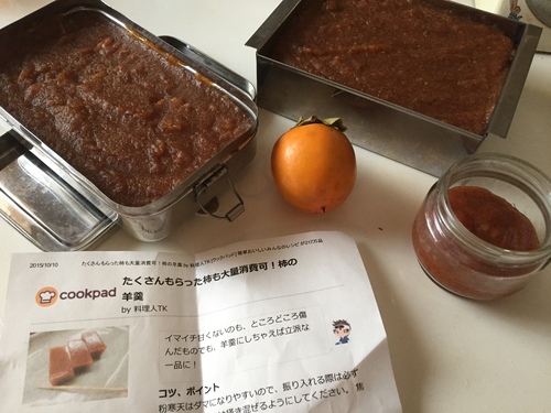 干し柿~_c0331145_1819392.jpg