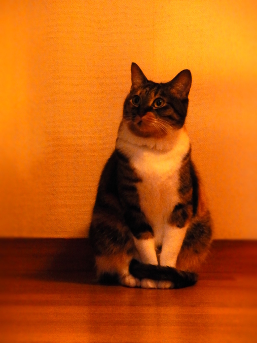 a0305046_09520140.jpg