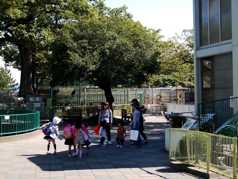 　　和歌山公園動物園_b0093754_15235392.jpg