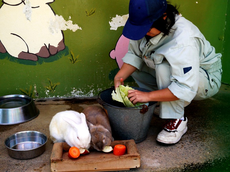 　　和歌山公園動物園_b0093754_1524764.jpg