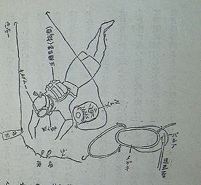 1013 山本式　潜水の友　２_b0075059_103922.jpg
