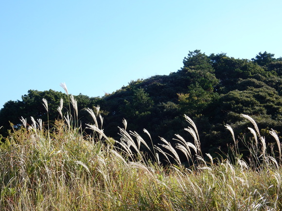 ’15,10,13(火)今日も紅葉探しに~!_f0060461_151645.jpg