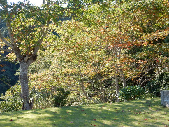 ’15,10,13(火)今日も紅葉探しに~!_f0060461_15424932.jpg