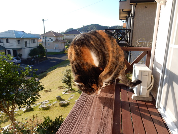 ’15,10,13(火)今日も紅葉探しに~!_f0060461_158990.jpg
