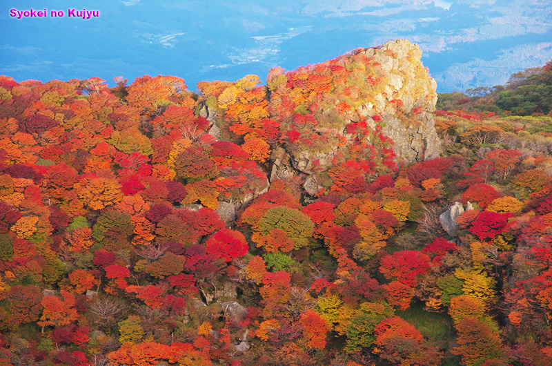10月11日大船山御池の紅葉 憧憬の九重