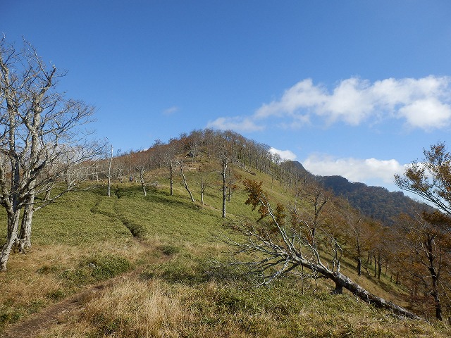 f0057070_22334231.jpg