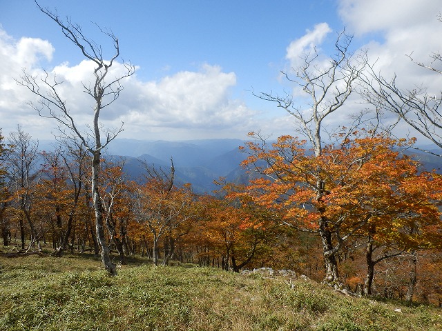 f0057070_22342075.jpg