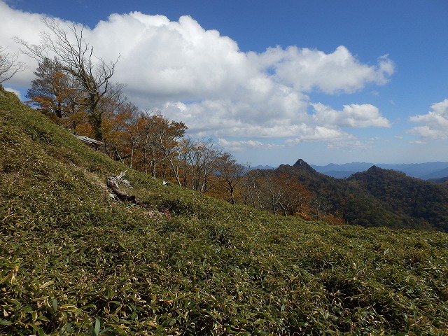 f0057070_22343021.jpg