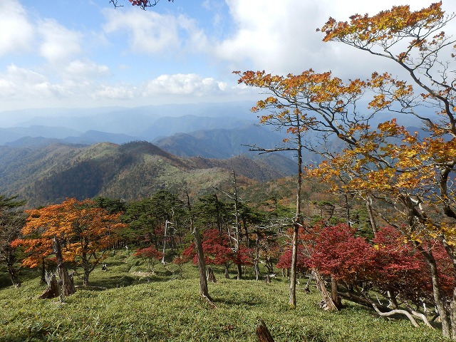 f0057070_2234497.jpg