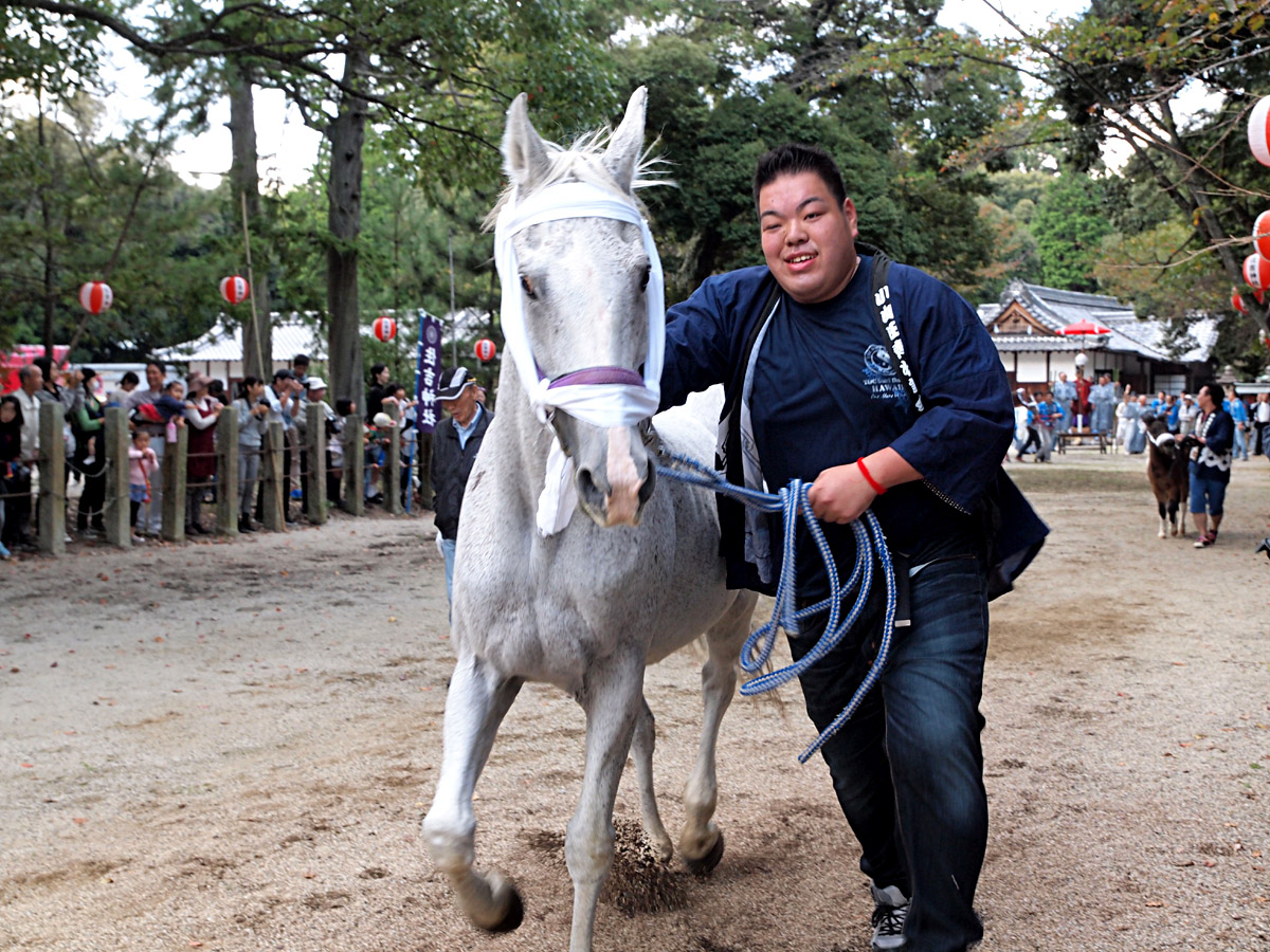 住吉神社の馬駆け神事_d0283373_19154816.jpg