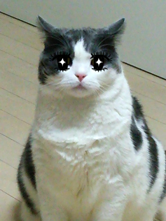 f0000673_1142844.png