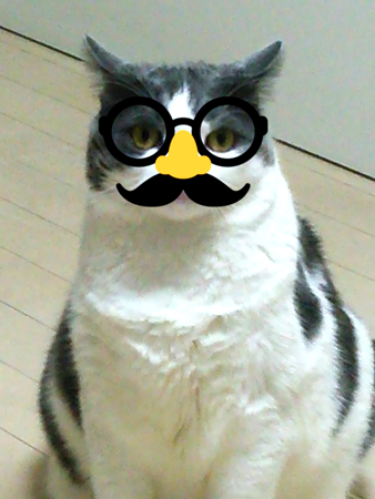f0000673_1555750.png