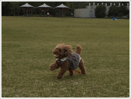 b0175688_00000212.gif