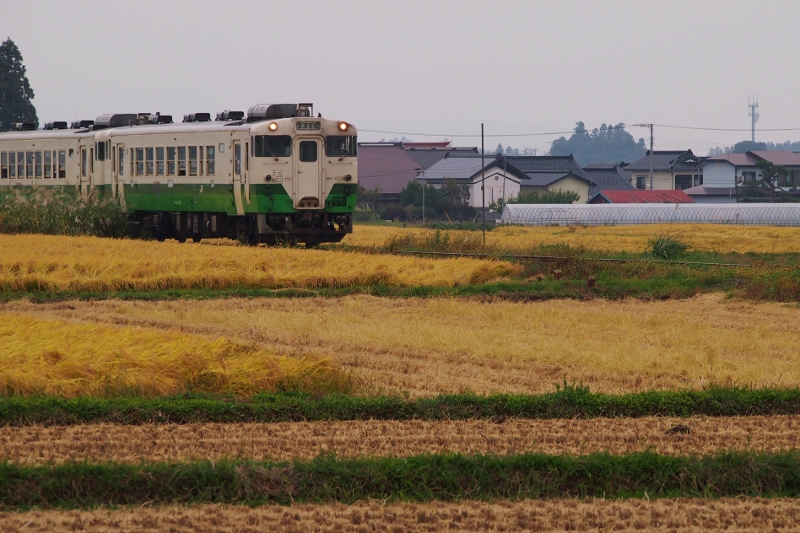 f0174989_10342050.jpg