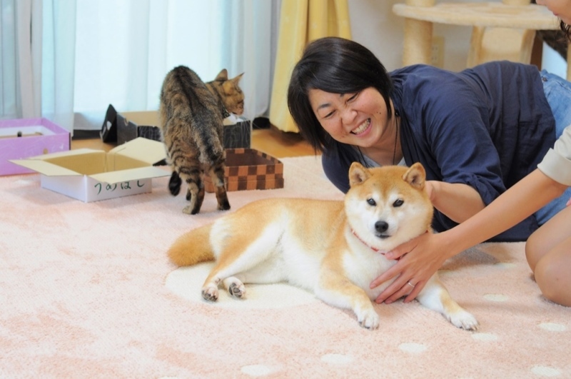 Wan11月号_a0126590_22351225.jpg
