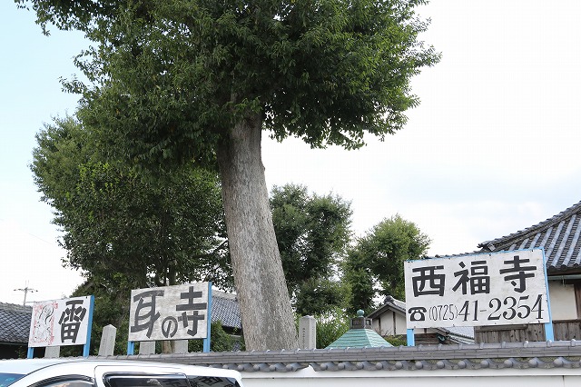 b0190092_19202360.jpg