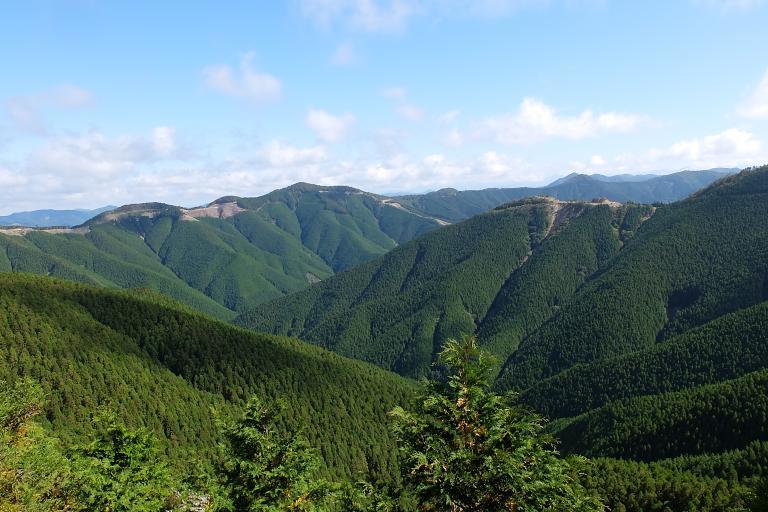 d0069495_08371038.jpg