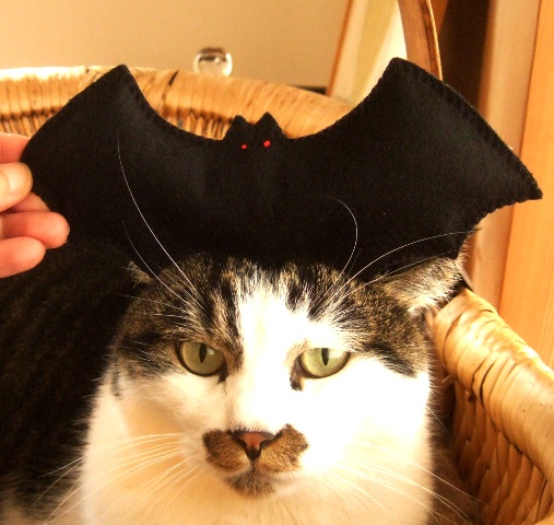 ハロウィン_c0115596_23482473.jpg