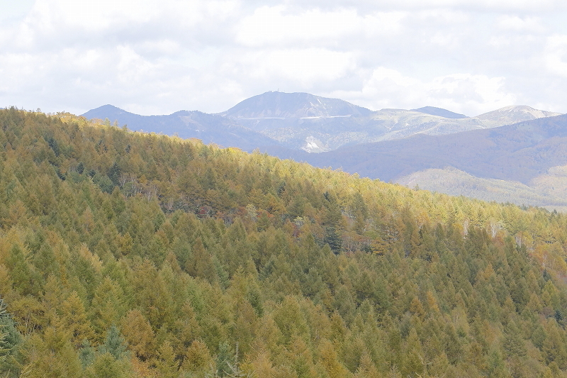 錦秋の山歩き＠四阿山　2015.10.12(月)_c0213096_22355797.jpg