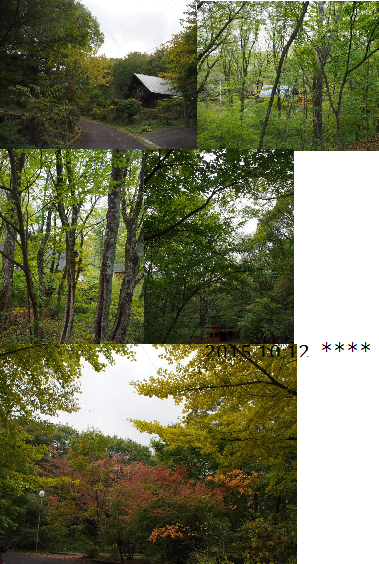f0056297_08253385.png