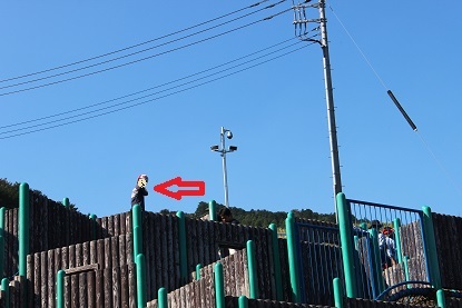c0341398_22493836.jpg