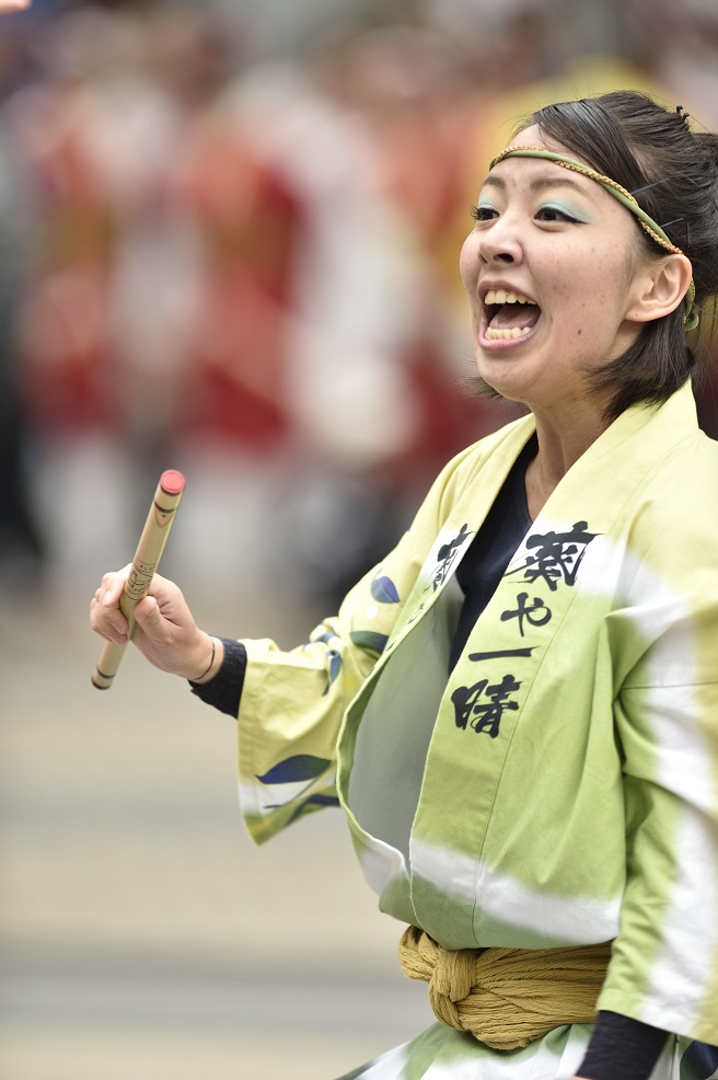 東京よさこい「葵や一晴」_f0184198_1383262.jpg