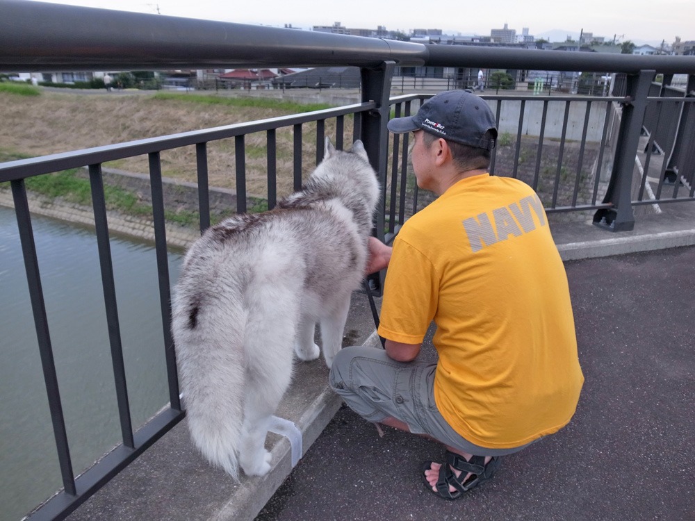 がんがんレオン、まったりリン♪　(^o^)_c0049299_2230535.jpg