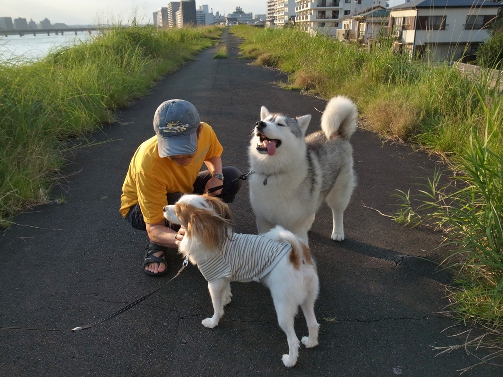 がんがんレオン、まったりリン♪　(^o^)_c0049299_22374232.jpg