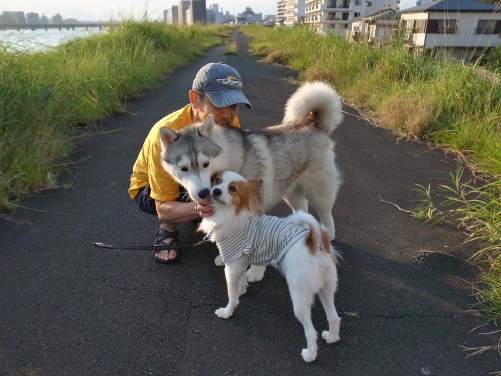 がんがんレオン、まったりリン♪　(^o^)_c0049299_2239067.jpg