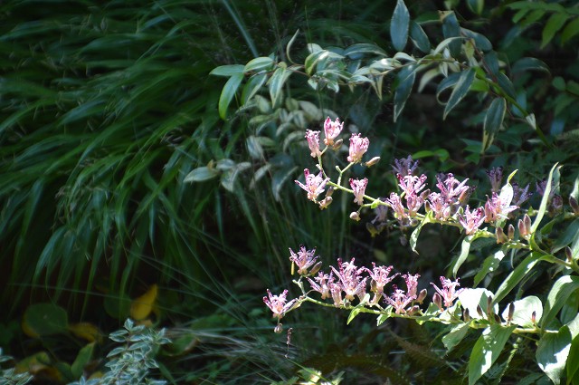 c0124100_23294924.jpg
