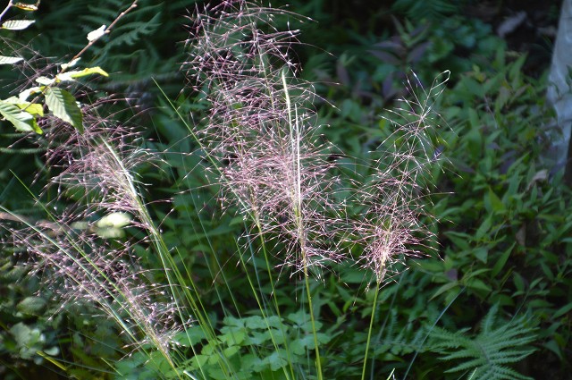 c0124100_23301130.jpg