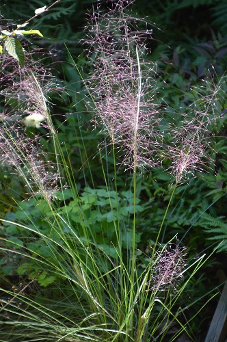 c0124100_23302249.jpg