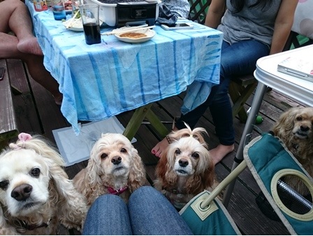 デッキでBBQ♪_c0128303_21271835.jpg
