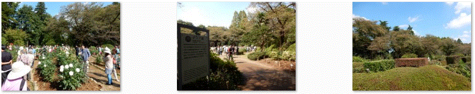 f0231709_10162570.gif