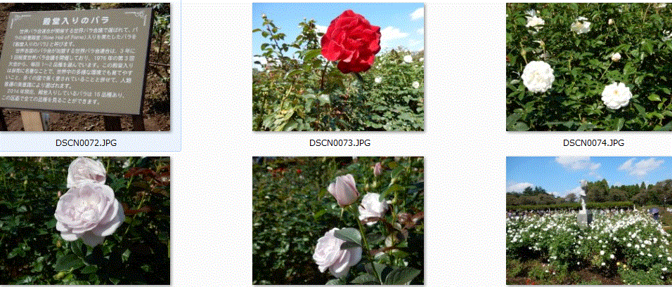 f0231709_101732.gif