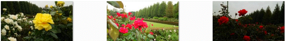 f0231709_105338.gif