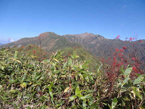 銚子ｹ峰　(1,810.4M)  　紅葉 編_d0170615_21554017.jpg